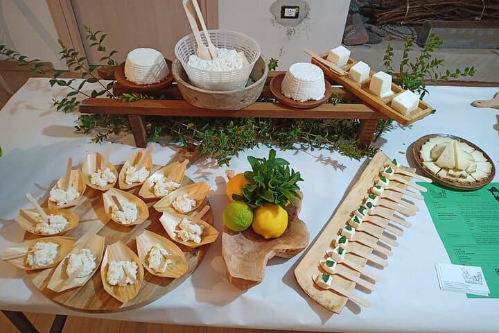 Raw Milk Cheese Tasting in Mandrolisai, Sardinia — Artisanal Dairy Visit & Tasting