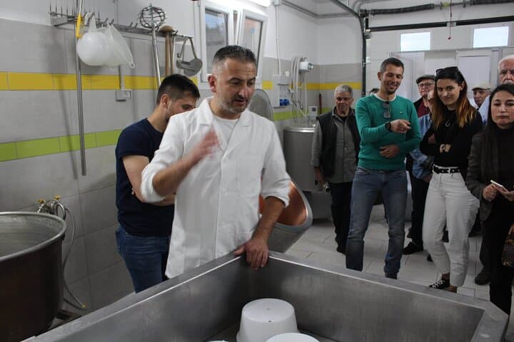 Raw Milk Cheese Tasting in Mandrolisai, Sardinia — Artisanal Dairy Visit & Tasting photo 4
