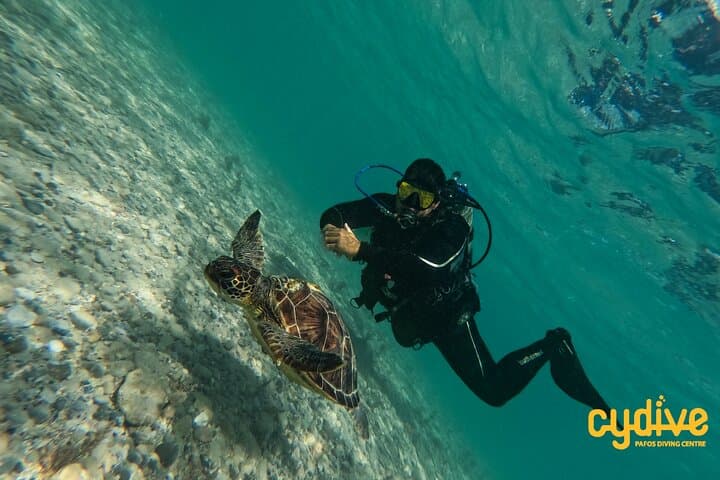 Paphos Roman Wall Discover Scuba Diving — Half-Day Beginner Dive photo 4