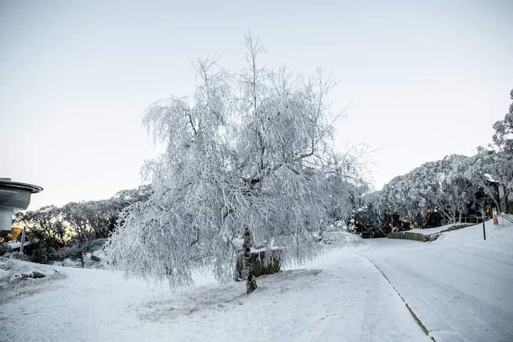 Mount Buller One-Day Guided Snow Tour from Melbourne photo 4