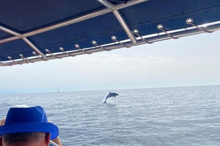 Fuengirola Dolphin-Watching Boat Trip with Coastal Walk & Drink photo 4