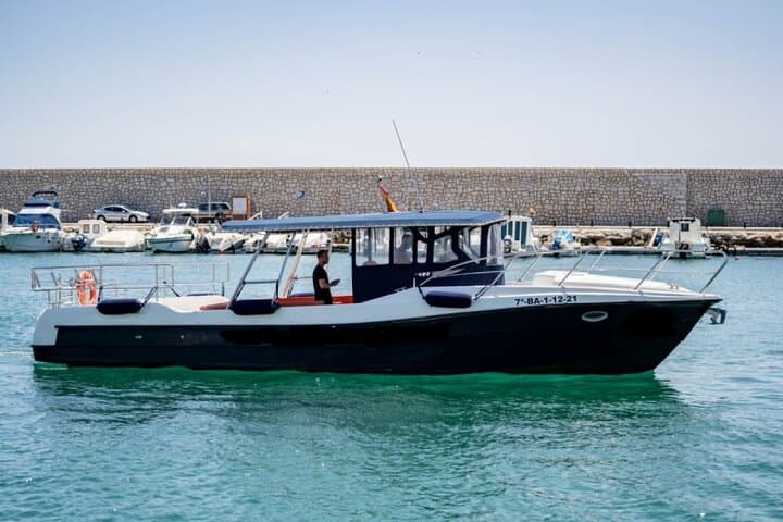 Fuengirola Dolphin-Watching Boat Trip with Coastal Walk & Drink photo 6