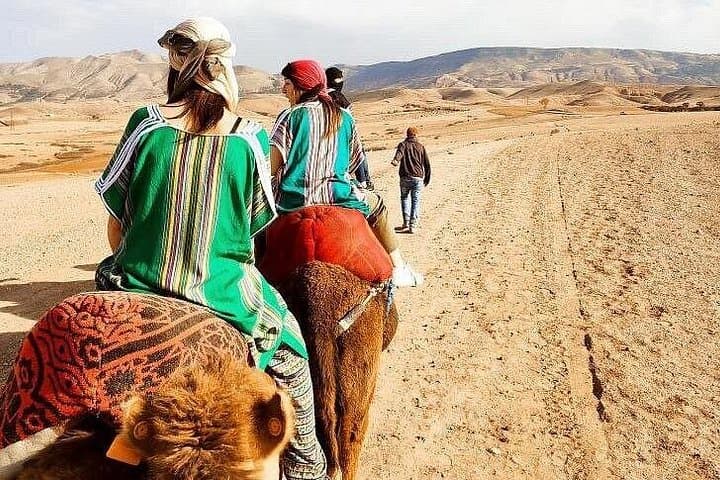 Atlas Mountains & Agafay Desert Day Trip from Marrakech — Berber Villages, Waterfalls & Camel Ride photo 1