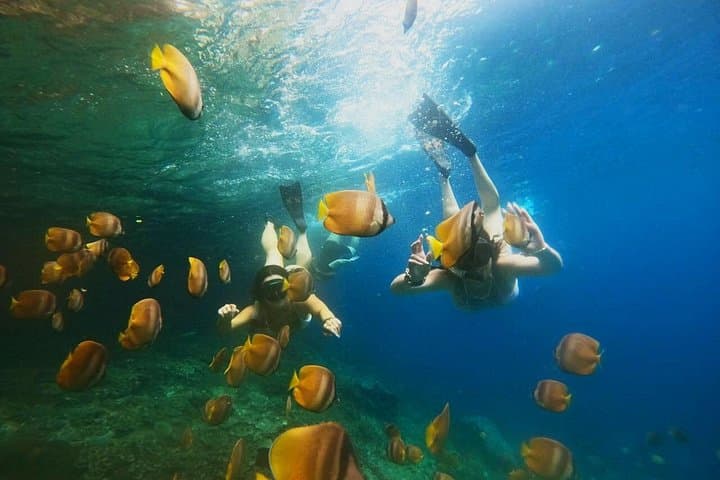 Blue Lagoon Bali Snorkeling — All‑Inclusive Trip to Tanjung Jepun photo 2