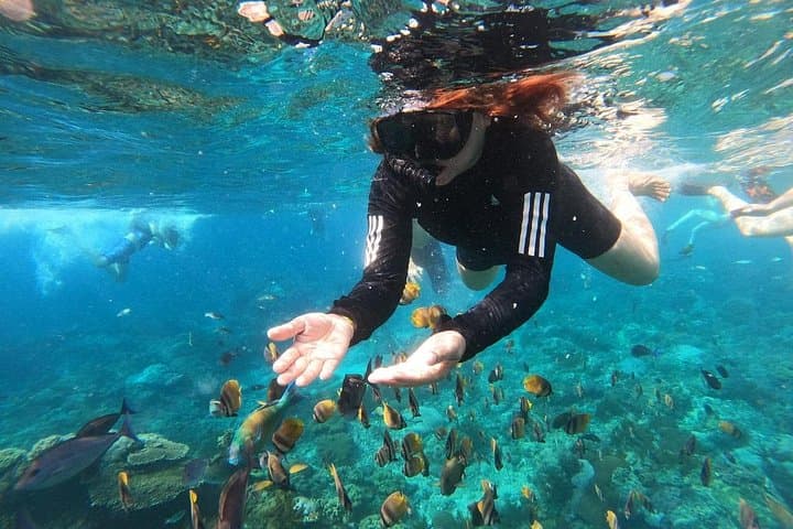 Blue Lagoon Bali Snorkeling — All‑Inclusive Trip to Tanjung Jepun photo 1