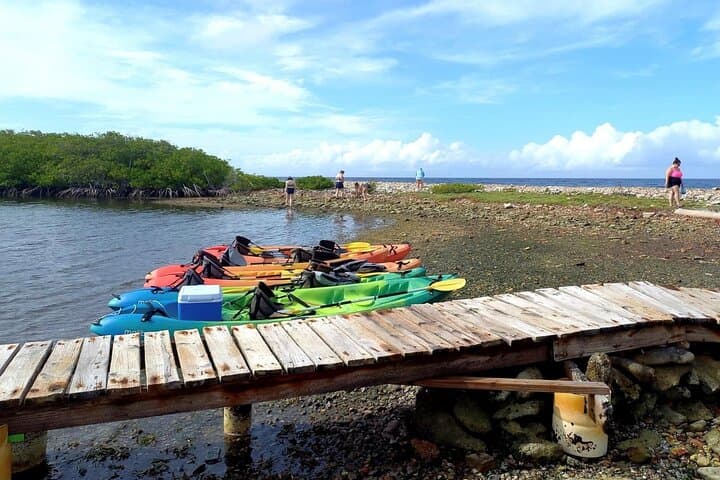 Sea Glass Island Aruba Kayak Tour — Kayak to Sea Glass & Turtle Encounters photo 5