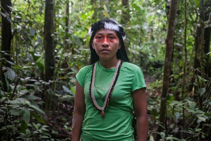 4-Day Manu Jungle Tour from Cusco: Macaws, Treehouse Stays & River Expeditions photo 3