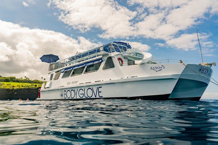 Kailua-Kona Luxury Catamaran Snorkel and Dolphin Watch: Red Hill Marine Sanctuary Cruise photo 2