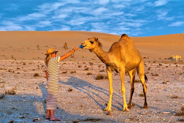 Half-Day Kuwait City & Desert Tour — Towers, Mosques, Camels & Sunset Dunes photo 2