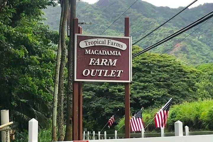 Private Hawaiian Culture Tour on Oahu — Palaces, Fishponds & North Shore Views photo 4