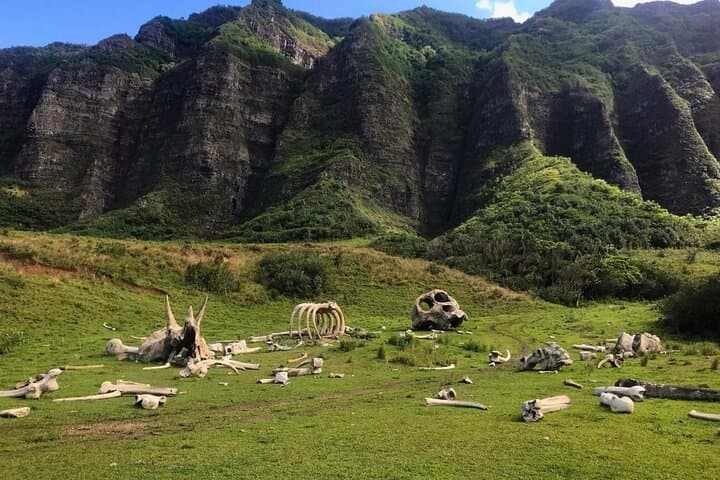Private Oahu Photo Tour: Capture Oahu’s Best Photo Spots in One Day photo 6