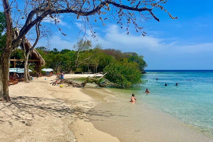 Roatán Monkey and Sloth Sanctuary + Beach Break — Half-Day Wildlife and Beach Excursion photo 4