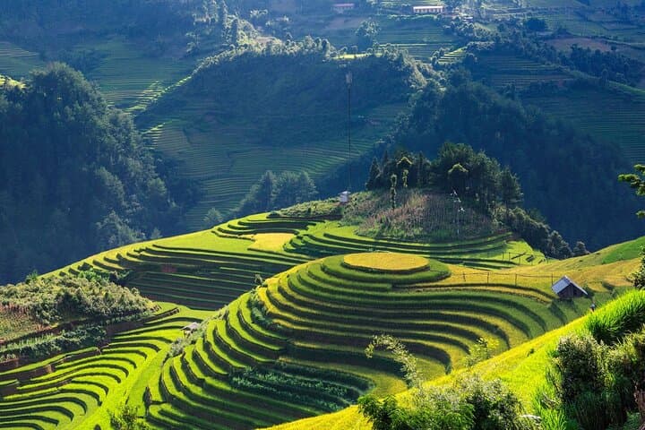 Hanoi, Sapa Trekking and Halong Bay Cruise: 8-Day Northern Vietnam Adventure