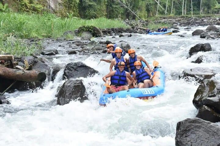 Telaga River Rafting in Bali: 14 km Whitewater Trip from Ubud