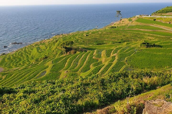 Cycle the Noto Peninsula: Full-Day Bicycle Tour from Wajima photo 4