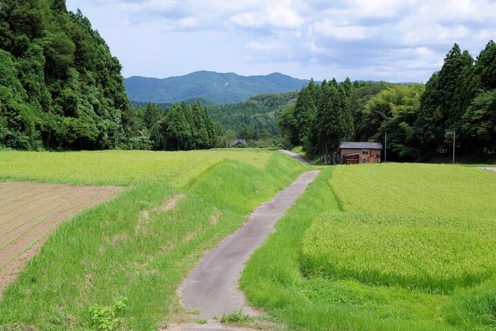 Cycle the Noto Peninsula: Full-Day Bicycle Tour from Wajima photo 3