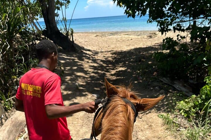 Montego Bay Combo: ATV, Bamboo Rafting & Horseback Ride — Private Day Trip photo 5
