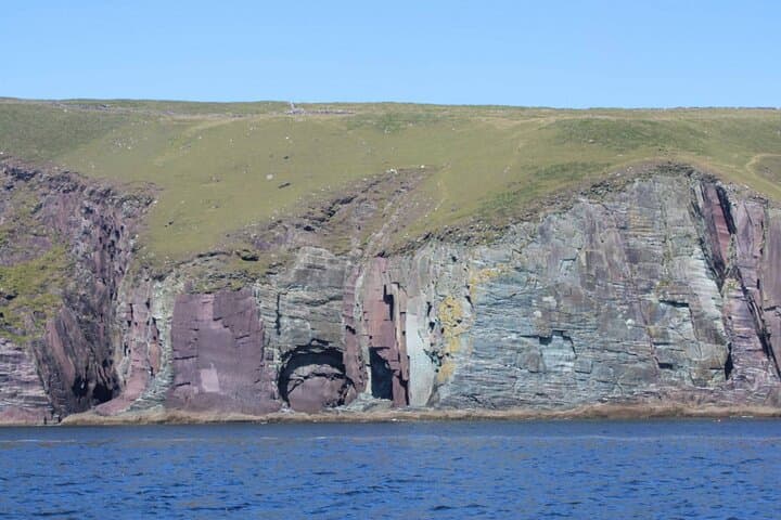 2-hour-dingle-bay-mini-eco-boat-tour-cliffs-sea-caves-wildlife photo 3