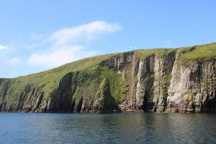 2-hour-dingle-bay-mini-eco-boat-tour-cliffs-sea-caves-wildlife photo 4