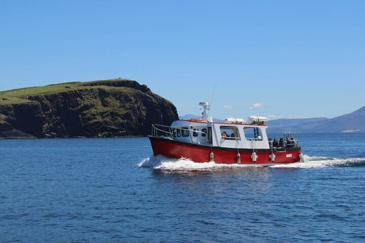 2-hour-dingle-bay-mini-eco-boat-tour-cliffs-sea-caves-wildlife