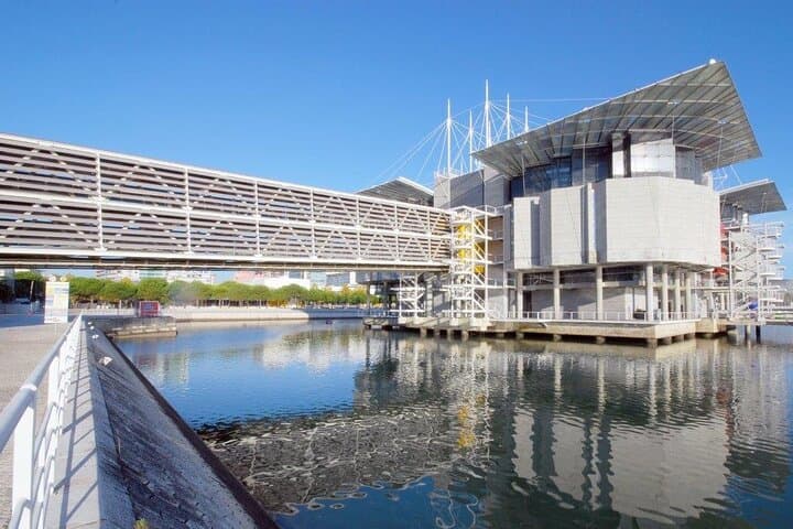 Lisbon Oceanario — Essential Guide to Portugal’s Premier Aquarium photo 2