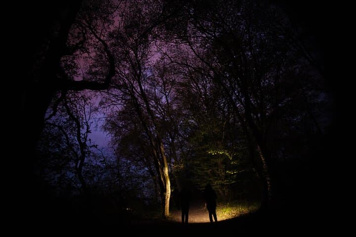 Night Tour in Hoia Baciu Forest: Explore Cluj-Napoca's Mysterious Woods
