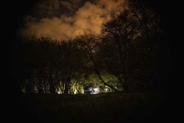 Night Tour in Hoia Baciu Forest: Explore Cluj-Napoca's Mysterious Woods photo 6