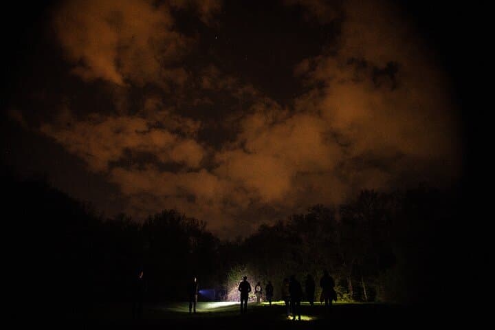 Night Tour in Hoia Baciu Forest: Explore Cluj-Napoca's Mysterious Woods photo 5