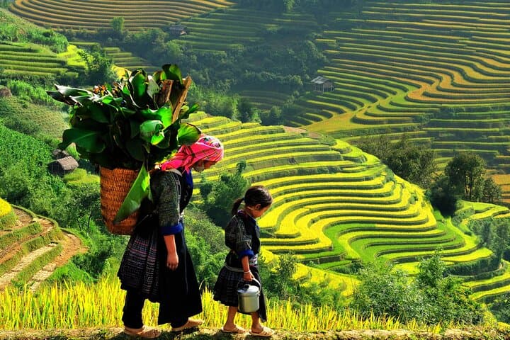 Sapa 3-Day Trek: Ta Van Homestay, Rice Terraces & Cat Cat Waterfall
