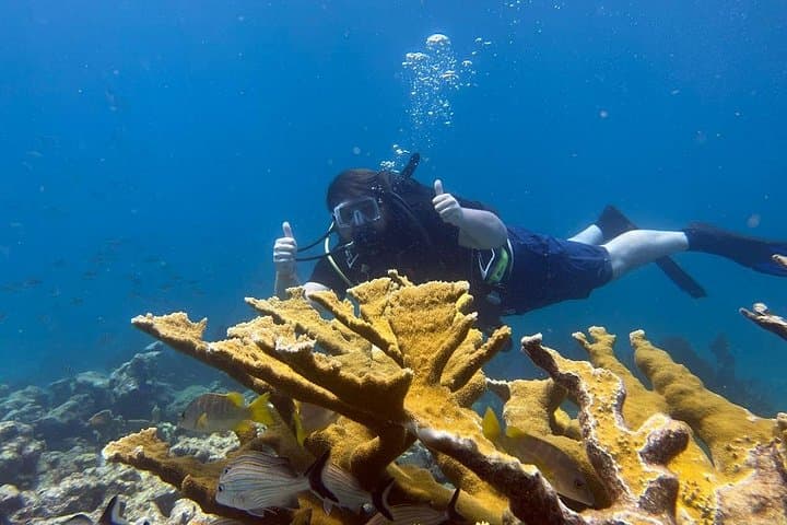 Key Largo Private Fishing & Snorkel Combo with Let It Ride Charters