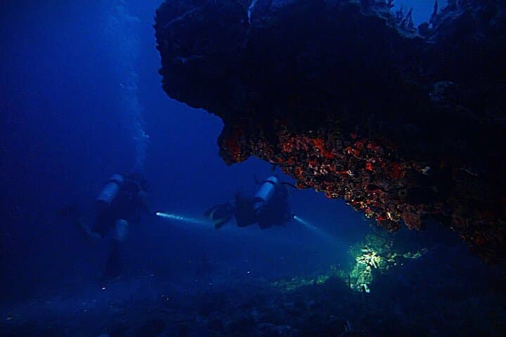 Sunset Night Dive in St. Thomas: Certified Diver Night Scuba Adventure photo 2