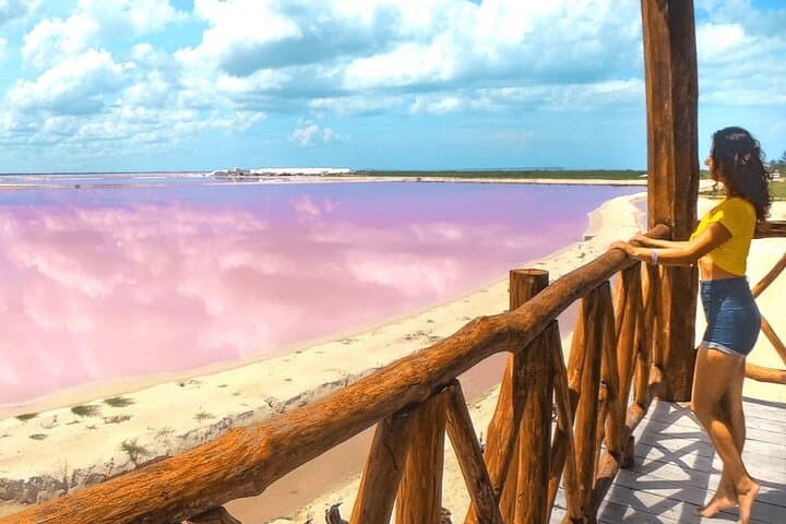 Las Coloradas Pink Lake, Cancunito Beach & Rio Lagartos Day Trip from Merida