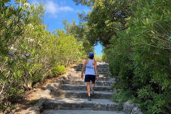 Small-Group Hike to Rhodes' Valley of the Butterflies — When to Go & What to Expect photo 3