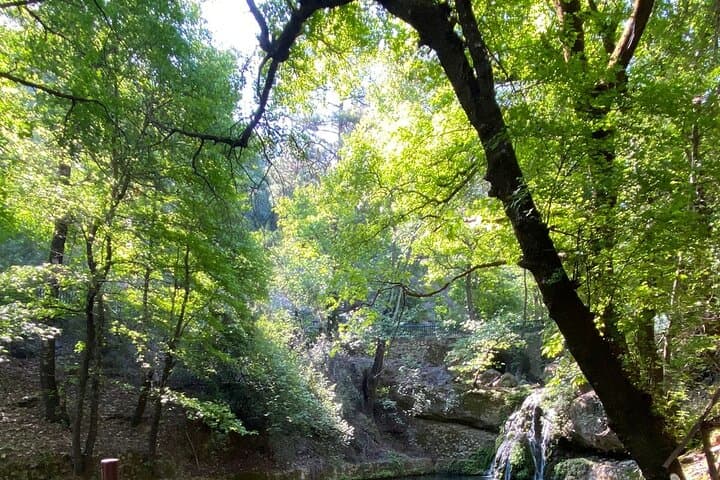 Small-Group Hike to Rhodes' Valley of the Butterflies — When to Go & What to Expect photo 6