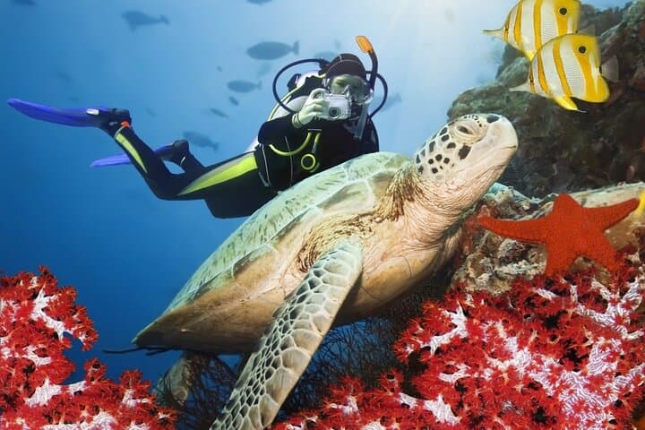 Belek Scuba Diving: Day Trip to Kemer Reefs, Aquarium Bay & Cave Dives photo 2