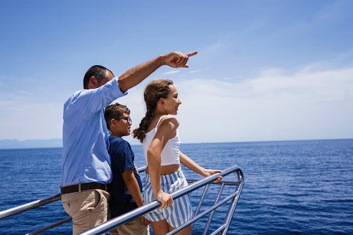 Benalmádena Dolphin-Watching Catamaran Tour — 2-Hour Alboran Sea Excursion
