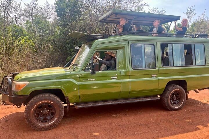 Full-Day Akagera National Park Private Safari — Big Five Game Drive from Kigali