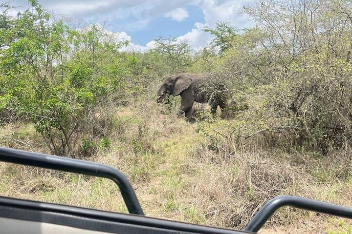 Full-Day Akagera National Park Private Safari — Big Five Game Drive from Kigali photo 6