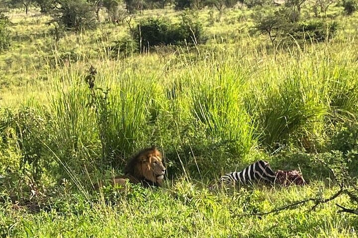 Full-Day Akagera National Park Private Safari — Big Five Game Drive from Kigali photo 5