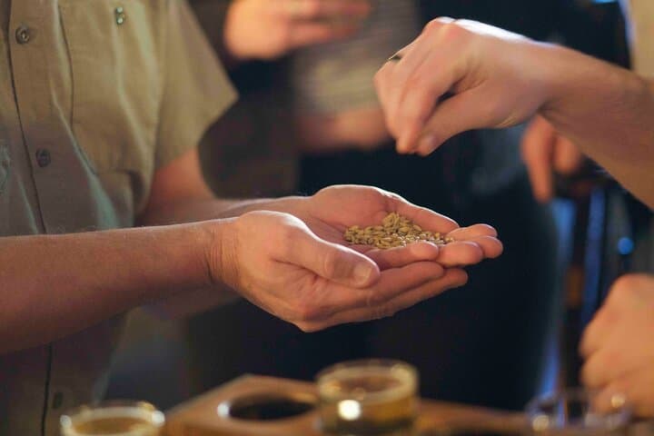 Downtown Asheville Walking Brewery Tour: Craft Beer, History, and Hops on Foot photo 5