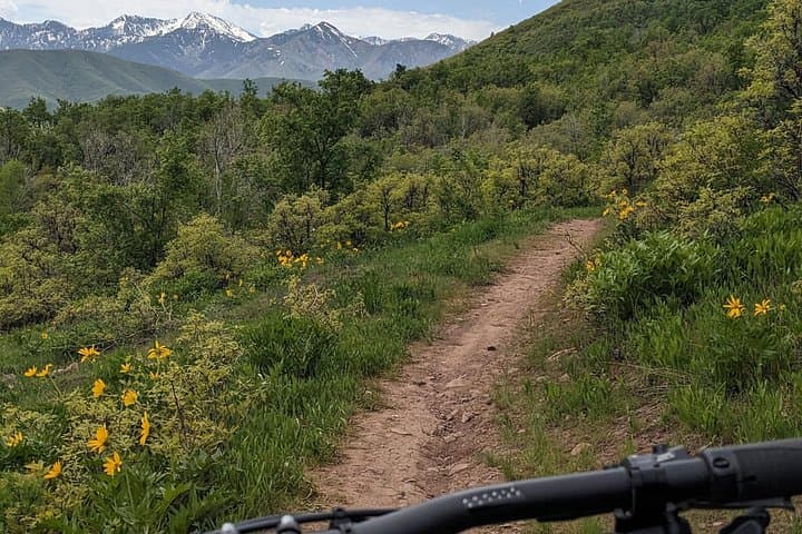 Salt Lake Mountain eBike Tour Along the Mormon Pioneer Trail photo 2