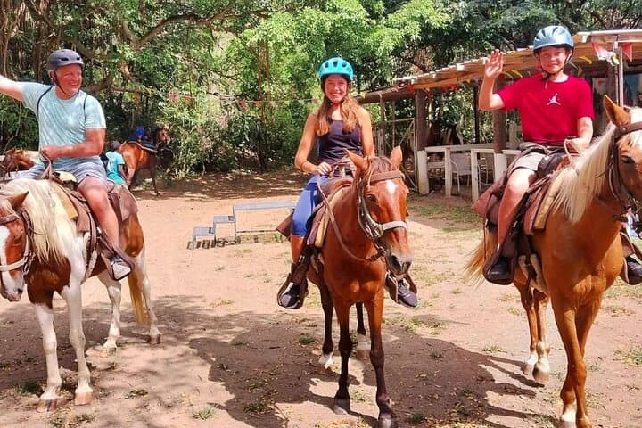 Ride Through St Kitts: Horseback Scenic Escape to Basseterre Views