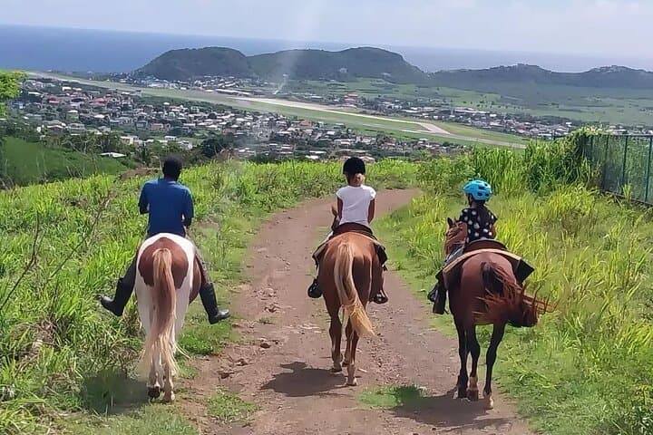 Ride Through St Kitts: Horseback Scenic Escape to Basseterre Views photo 2