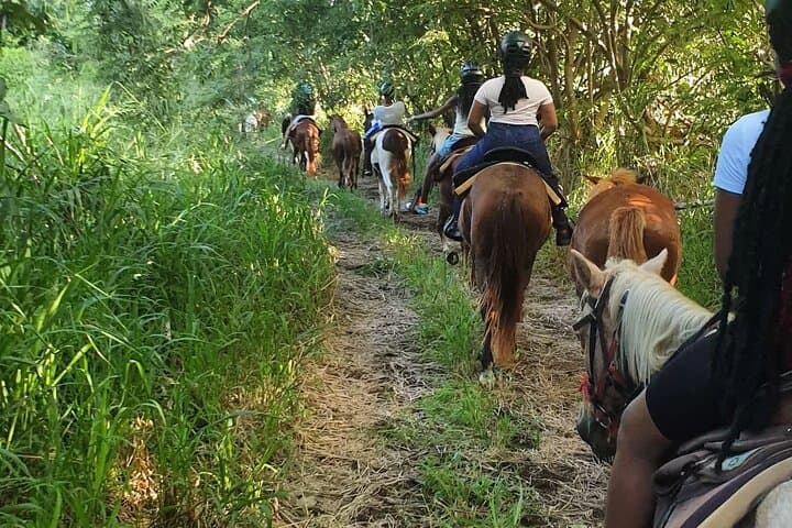 Ride Through St Kitts: Horseback Scenic Escape to Basseterre Views photo 5