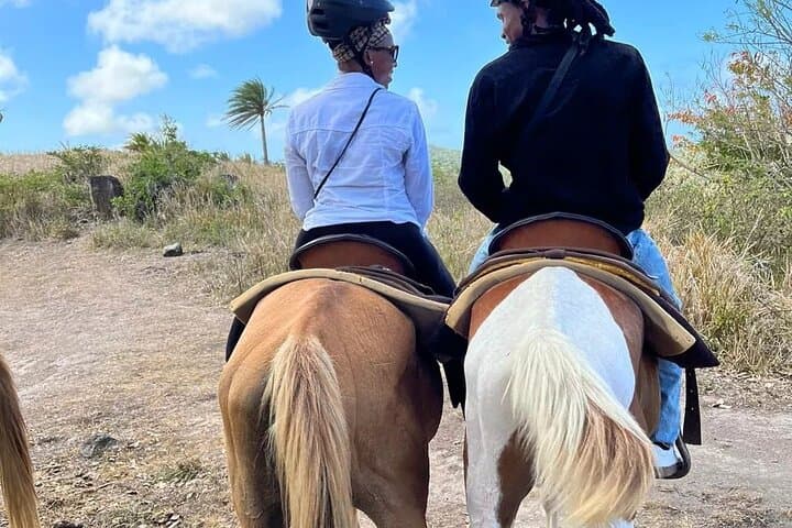 Ride Through St Kitts: Horseback Scenic Escape to Basseterre Views photo 3