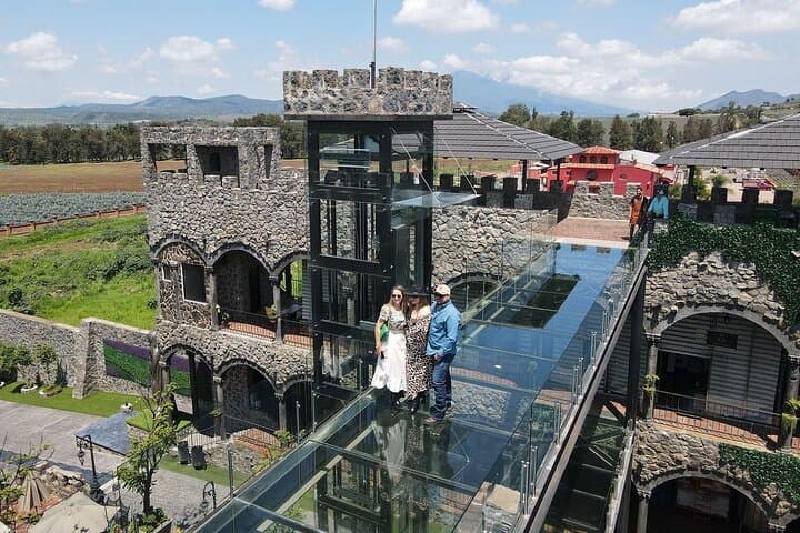 Private Full-Day Tequila Tour to El Castillo: Agave Fields, Tasting & Mirador Swing