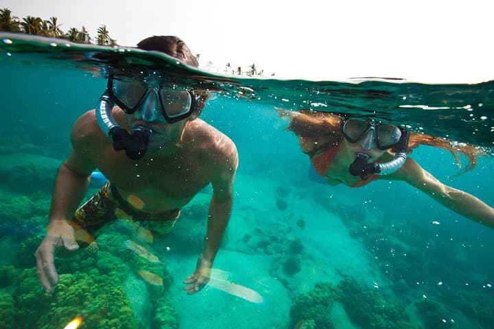 Stingray City & Cayman Reefs: 3-Stop Snorkel Adventure from Grand Cayman photo 3