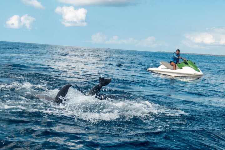 Galu Beach Jet Ski Dolphin Safari — Diani High-Speed Dolphin Watching photo 4