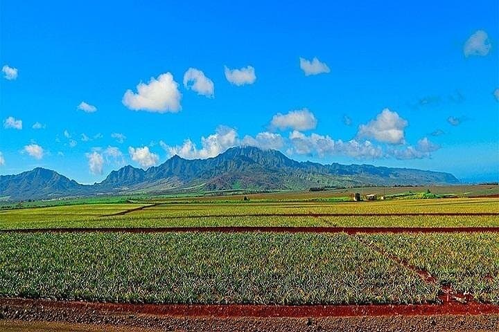 Oahu Grand Circle: North Shore Surf, Hidden Bays & Hanauma Snorkel from Maui photo 4