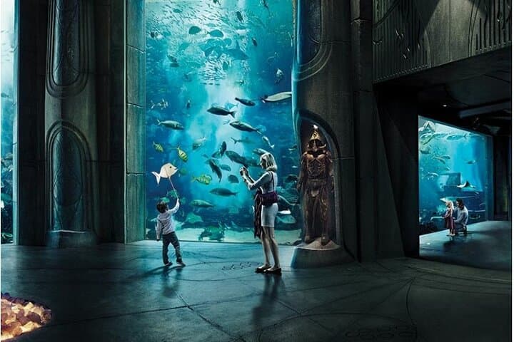 Explore the Lost Chambers Aquarium at Atlantis The Palm — Dubai E‑Ticket photo 3